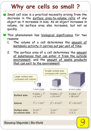 Cell : The Unit of Life | PDF