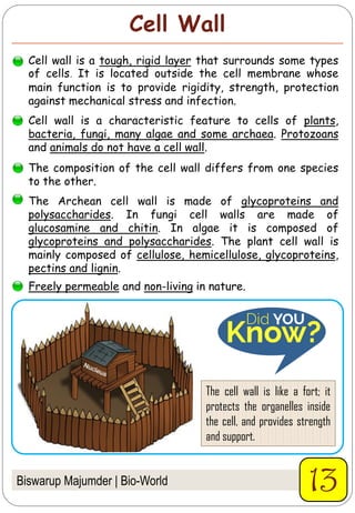 Cell : The Unit of Life | PDF
