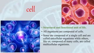 Cell: The Unit of Life | PPTX