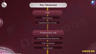 © 2022, Aakash BYJU'S. All rights reserved
Prokaryotic cell
Cell
Characteristics features
Cell envelope
Cell theory
Classification of cell
Cytoplasm
Key Takeaways
ANKUR SIR
 