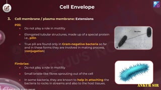 © 2022, Aakash BYJU'S. All rights reserved
Cell Envelope
Fimbriae:
Pilli:
● Do not play a role in motility
● Small bristle-like fibres sprouting out of the cell
● In some bacteria, they are known to help in attaching the
bacteria to rocks in streams and also to the host tissues.
● Do not play a role in motility
● Elongated tubular structures, made up of a special protein
i.e., pilin
● True pili are found only in Gram-negative bacteria so far
and in these forms they are involved in mating process,
(conjugation)
3. Cell membrane / plasma membrane: Extensions
ANKUR SIR
 