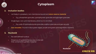 © 2022, Aakash BYJU'S. All rights reserved
Cytoplasm
2. Inclusion bodies
● Lie freely in cytoplasm, non-membrane bound and store reserve material
● E.g., phosphate granules, cyanophycean granules and glycogen granules
● Single layer, non-unit membrane, which is 2-4 nm thick
● E.g., poly-ß-hydroxybutyrate granules, sulphur granules and gas vacuole
● Gas vacuoles : Found in blue-green algae, purple and green photosynthetic bacteria
3. Nucleoid
Nucleoid
● No well-defined nucleus
● Presence of nucleoid: Dense area in the cell
that contains the genetic material
ANKUR SIR
 