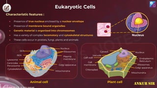 © 2022, Aakash BYJU'S. All rights reserved
Eukaryotic Cells
Characteristic features :
● Presence of true nucleus enclosed by a nuclear envelope
● Presence of membrane bound organelles
● Genetic material is organised into chromosomes
● Has a variety of complex locomotory and cytoskeletal structures
● These cells occur in protists, fungi, plants and animals
Nucleus
Centrioles
Lysosome
RER
SER
Nucleus
Peroxisome
Cytoskeleton
Mitochondria
Golgi apparatus
Plasma
membrane
Ribosomes
Animal cell
Nucleus
Cytosol
Endoplasmic
Reticulum
Ribosomes
Golgi apparatus
Mitochondria
Vacuole
Cell wall
Chloroplast
Cell
membrane
Plant cell
ANKUR SIR
 