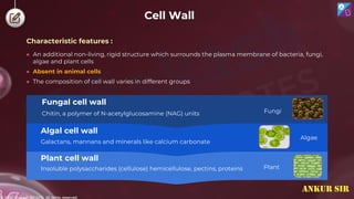 © 2022, Aakash BYJU'S. All rights reserved
Cell Wall
● An additional non-living, rigid structure which surrounds the plasma membrane of bacteria, fungi,
algae and plant cells
● Absent in animal cells
● The composition of cell wall varies in different groups
Insoluble polysaccharides (cellulose) hemicellulose, pectins, proteins
Plant cell wall
Galactans, mannans and minerals like calcium carbonate
Algal cell wall
Chitin, a polymer of N-acetylglucosamine (NAG) units
Fungal cell wall
Fungi
Algae
Plant
Characteristic features :
ANKUR SIR
 