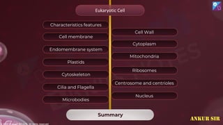 © 2022, Aakash BYJU'S. All rights reserved
Characteristics features
Cell Wall
Cell membrane
Cytoplasm
Endomembrane system
Mitochondria
Plastids
Ribosomes
Cytoskeleton
Centrosome and centrioles
Cilia and Flagella
Nucleus
Microbodies
Summary
Eukaryotic Cell
ANKUR SIR
 