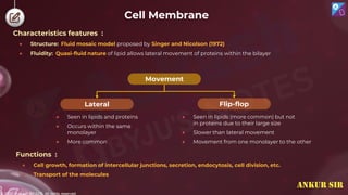© 2022, Aakash BYJU'S. All rights reserved
Cell Membrane
Characteristics features :
● Structure: Fluid mosaic model proposed by Singer and Nicolson (1972)
● Fluidity: Quasi-fluid nature of lipid allows lateral movement of proteins within the bilayer
Functions :
● Cell growth, formation of intercellular junctions, secretion, endocytosis, cell division, etc.
● Transport of the molecules
Movement
Lateral Flip-flop
● Seen in lipids and proteins
● Occurs within the same
monolayer
● More common
● Seen in lipids (more common) but not
in proteins due to their large size
● Slower than lateral movement
● Movement from one monolayer to the other
ANKUR SIR
 