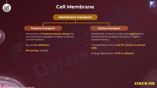© 2022, Aakash BYJU'S. All rights reserved
Cell Membrane
● Movement of neutral solutes along the
concentration gradient (Higher to lower
concentration)
● By simple diffusion
● No energy utilised
Membrane transport
Active transport
Passive transport
● Movement of ions or molecules against the
concentration gradient (Lower to higher
concentration)
● Transporters such as Na+/K+ pump in animal
cells
● Energy dependant (ATP is utilised)
ANKUR SIR
 
