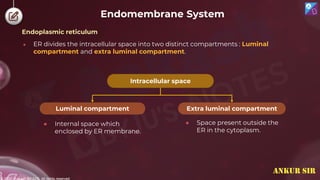 © 2022, Aakash BYJU'S. All rights reserved
Endomembrane System
Endoplasmic reticulum
● ER divides the intracellular space into two distinct compartments : Luminal
compartment and extra luminal compartment.
● Internal space which
enclosed by ER membrane.
Intracellular space
Extra luminal compartment
Luminal compartment
● Space present outside the
ER in the cytoplasm.
ANKUR SIR
 