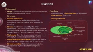 © 2022, Aakash BYJU'S. All rights reserved
Plastids
Chloroplast
 Shape : Spherical, lens shaped, oval, discoid or even
ribbon-shaped in some plants
 Structure:
1. Double membrane
Outer membrane : More permeable Inner
membrane : Less permeable with more carrier
proteins
2. Stroma: Fluid matrix bound by the inner
membrane. Contains 70S ribosomes, circular DNA
(dsDNA), starch granules and enzymes required for
the synthesis of carbohydrates and proteins
3. Thylakoids: Coin like structures containing
chlorophyll. Enclose a space called a lumen
4. Grana/Intergranal thylakoids: Appear like piles of
coin. Stacked one over the other to form grana
5. Stroma Lamellae : Flat membranous tubules.
Interconnect thylakoids of different grana
 Photosynthesis : Light reaction (in thylakoids),
dark reaction (in stroma)
 Storage of starch
Chloroplast
DNA
Ribosome
Starch granule
Lipid droplet
Intermembrane
space
Inner membrane
Grana
Lamella
Stroma
Functions:
ANKUR SIR
 