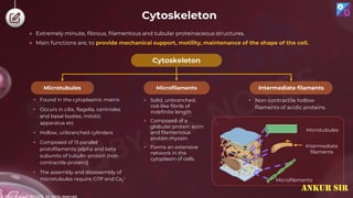 © 2022, Aakash BYJU'S. All rights reserved
Cytoskeleton
● Extremely minute, fibrous, filamentous and tubular proteinaceous structures.
● Main functions are, to provide mechanical support, motility, maintenance of the shape of the cell.
Cytoskeleton
Microfilaments Intermediate filaments
Microtubules
 Non-contractile hollow
filaments of acidic proteins.
 Found in the cytoplasmic matrix
 Occurs in cilia, flagella, centrioles
and basal bodies, mitotic
apparatus etc
 Hollow, unbranched cylinders
 Composed of 13 parallel
protofilaments {alpha and beta
subunits of tubulin protein (non
contractile protein)}
 The assembly and disassembly of
microtubules require GTP and Ca2
+
 Solid, unbranched,
rod-like fibrils of
indefinite length
 Composed of a
globular protein actin
and filamentous
protein myosin.
 Forms an extensive
network in the
cytoplasm of cells.
Microtubules
Intermediate
filaments
Microfilaments
ANKUR SIR
 