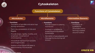 © 2022, Aakash BYJU'S. All rights reserved
Cytoskeleton
Functions of Cytoskeleton
Microfilaments Intermediate filaments
Microtubules
● Functions:
o Formation of
scaffolds for
chromatin and in
forming a basket
around nucleus
● Functions :
o Formation of spindles and astral rays
during cell division
o Form the cytoskeleton of cilia and
flagella
o Provide shape, rigidity, motility, and
anaphasic movement of
chromosomes
o Intracellular transport of nutrients
and inorganic ions
o Position of the future cell plate is
determined by microtubules
● Functions:
o Provide support to plasma
membrane
o Involved in cytoplasmic
streaming and amoeboid
movements
o Formation of pseudopodia and
cleavage furrow during cell
division
ANKUR SIR
 