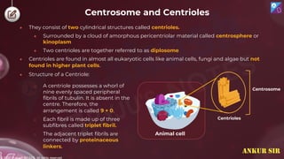 © 2022, Aakash BYJU'S. All rights reserved
Centrosome and Centrioles
● They consist of two cylindrical structures called centrioles.
● Surrounded by a cloud of amorphous pericentriolar material called centrosphere or
kinoplasm
● Two centrioles are together referred to as diplosome
● Centrioles are found in almost all eukaryotic cells like animal cells, fungi and algae but not
found in higher plant cells.
Centrosome
Centrioles
Animal cell
● Structure of a Centriole:
o A centriole possesses a whorl of
nine evenly spaced peripheral
fibrils of tubulin. It is absent in the
centre. Therefore, the
arrangement is called 9 + 0.
o Each fibril is made up of three
subfibres called triplet fibril.
o The adjacent triplet fibrils are
connected by proteinaceous
linkers.
ANKUR SIR
 