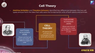 © 2022, Aakash BYJU'S. All rights reserved
● Matthias Schleiden and Theodore Schwann identified key differences between the two cell
types and put forth the idea that cells were the fundamental units of both plants and animals.
MATTHIAS
SCHLEIDEN
(1838)
Observed that all
plants are made up
of different types of
cells
CELL
THEORY
All plants and
animals are
composed of cells
and cell products
THEODORE
SCHWANN
(1839)
Observed that all
animals are made
up of different types
of cells
Cell Theory
ANKUR SIR
 