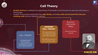 © 2022, Aakash BYJU'S. All rights reserved
● Rudolf Virchow modified the hypothesis of Schleiden and Schwann to give the cell theory a
final shape.
● Rudolf Virchow first explained that cells divide, and new cells are formed from the pre-
existing cells (Omnis cellula-e cellula).
CELL THEORY
All plants and
animals are
composed of cells
and cell products
MODERN
CELL THEORY
All organisms are
composed of cells
and cell products
All cells arise from
pre-existing cells
RUDOLF
VIRCHOW
(1855)
Omnis cellula e
cellula
Cell Theory
ANKUR SIR
 