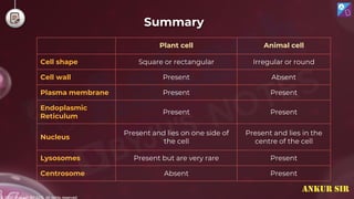 © 2022, Aakash BYJU'S. All rights reserved
Summary
Plant cell Animal cell
Cell shape Square or rectangular Irregular or round
Cell wall Present Absent
Plasma membrane Present Present
Endoplasmic
Reticulum
Present Present
Nucleus
Present and lies on one side of
the cell
Present and lies in the
centre of the cell
Lysosomes Present but are very rare Present
Centrosome Absent Present
ANKUR SIR
 