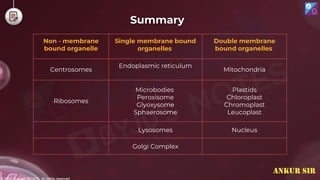 © 2022, Aakash BYJU'S. All rights reserved
Summary
Non - membrane
bound organelle
Single membrane bound
organelles
Double membrane
bound organelles
Centrosomes
Endoplasmic reticulum
Mitochondria
Ribosomes
Microbodies
Peroxisome
Glyoxysome
Sphaerosome
Plastids
Chloroplast
Chromoplast
Leucoplast
Lysosomes Nucleus
Golgi Complex
ANKUR SIR
 