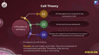 © 2022, Aakash BYJU'S. All rights reserved
Activities of an organism are the outcome of sum total of
activities and interactions of its constituent cells
All cells arise from pre-existing cells
01
03
02
3 Principles of
cell theory
● Exception to cell theory:
Viruses are not made up of cells. They are composed of
nucleoprotein particles. Therefore, they are not
considered either living or non-living.
Cell Theory
All living organisms are composed of cells
and products of cells
ANKUR SIR
 