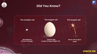 © 2022, Aakash BYJU'S. All rights reserved
Mycoplasma
0.3 µm in length
Ostrich egg
Largest isolated single cell
Nerve cell of giant
squid
The smallest cell The largest cell The longest cell
Did You Know?
ANKUR SIR
 