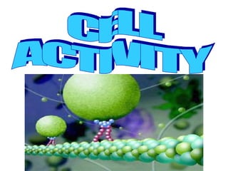 CELL  ACTIVITY 