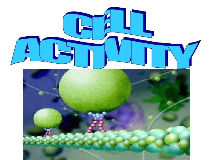 Cell Activity.ppt