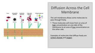 Cell-Transport-and-Homeostasis-PPT-USBT.pdf