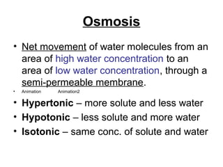 Osmosis
• Net movement of water molecules from an
  area of high water concentration to an
  area of low water concentration, through a
  semi-permeable membrane.
•   Animation   Animation2

• Hypertonic – more solute and less water
• Hypotonic – less solute and more water
• Isotonic – same conc. of solute and water
 