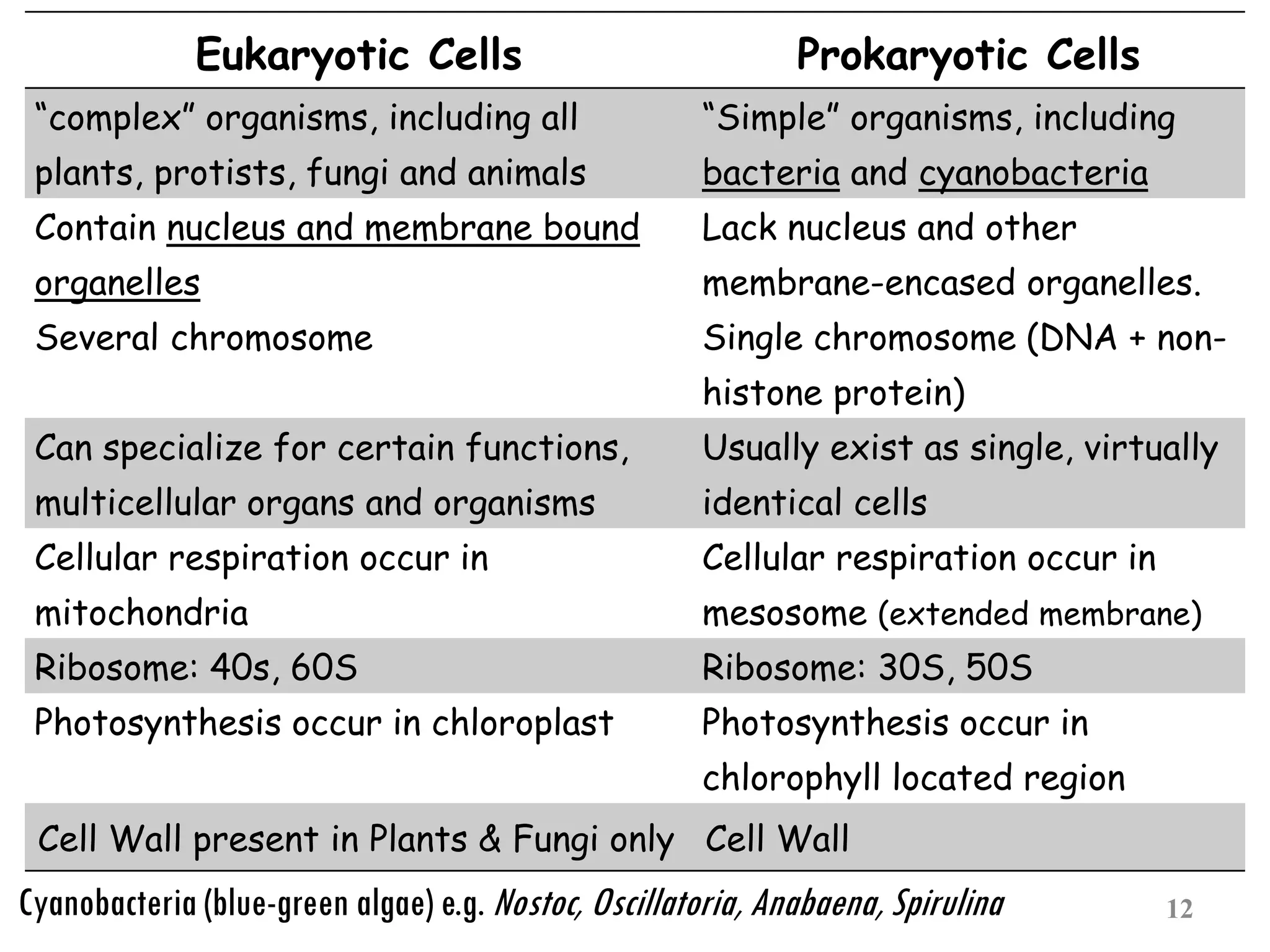 12
Eukaryotic Cells Prokaryotic Cells
“complex” organisms, including all
plants, protists, fungi and animals
“Simple” organisms, including
bacteria and cyanobacteria
Contain nucleus and membrane bound
organelles
Several chromosome
Lack nucleus and other
membrane-encased organelles.
Single chromosome (DNA + non-
histone protein)
Can specialize for certain functions,
multicellular organs and organisms
Usually exist as single, virtually
identical cells
Cellular respiration occur in
mitochondria
Cellular respiration occur in
mesosome (extended membrane)
Ribosome: 40s, 60S Ribosome: 30S, 50S
Photosynthesis occur in chloroplast Photosynthesis occur in
chlorophyll located region
Cell Wall present in Plants & Fungi only Cell Wall
Cyanobacteria (blue-green algae) e.g. Nostoc, Oscillatoria, Anabaena, Spirulina
 