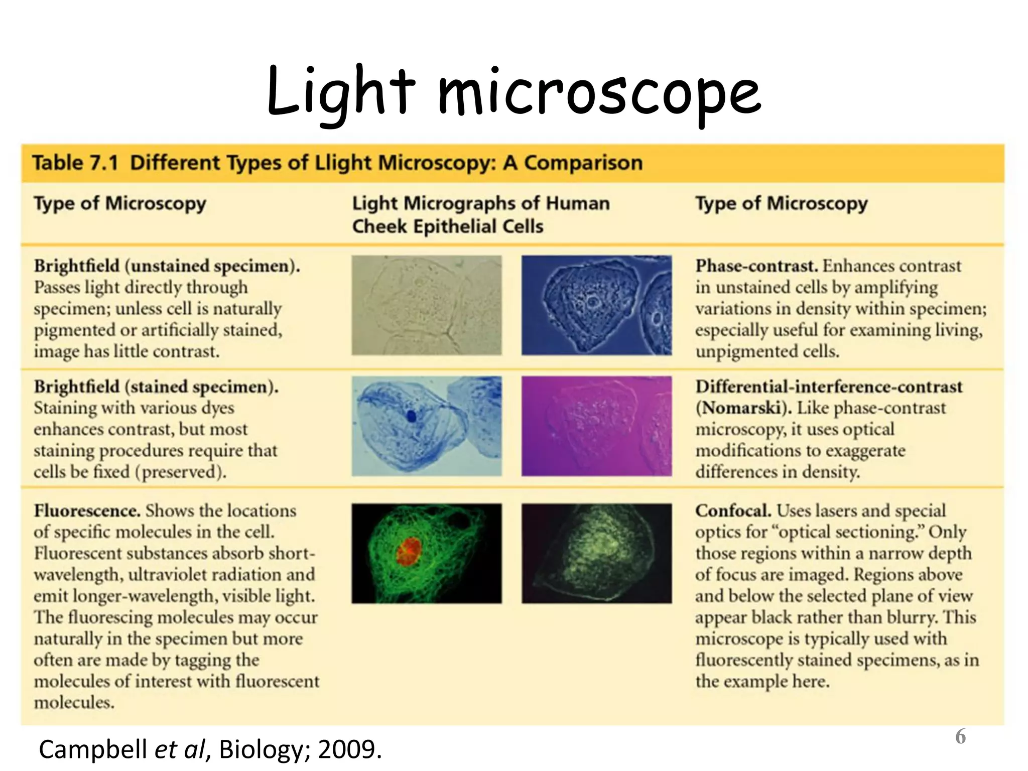 Light microscope
6Campbell et al, Biology; 2009.
 