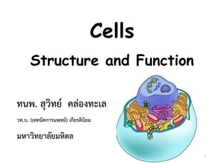 Cells
Structure and Function
ทนพ. สุวิทย์ คล่องทะเล
วท.บ. (เทคนิคการแพทย์) เกียรตินิยม
มหาวิทยาลัยมหิดล
1
 