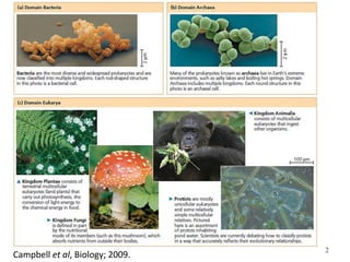 2Campbell et al, Biology; 2009.
 