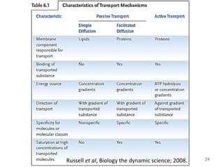 29Russell et al, Biology the dynamic science; 2008.
 