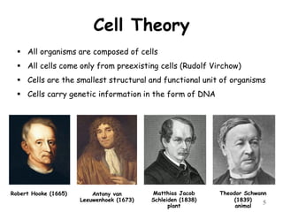 Cell Theory
 All organisms are composed of cells
 All cells come only from preexisting cells (Rudolf Virchow)
 Cells are the smallest structural and functional unit of organisms
 Cells carry genetic information in the form of DNA
5
Robert Hooke (1665) Matthias Jacob
Schleiden (1838)
plant
Theodor Schwann
(1839)
animal
Antony van
Leeuwenhoek (1673)
 