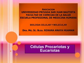 AsociacionUNIVERSIDAD PRIVADA SAN JUAN BAUTISTAFACULTAD DE CIENCIAS DE LA SALUDESCUELA PROFESIONAL DE MEDICINA HUMANABIOLOGIA CELULAR Y MOLECULARDra. Mg.Sc.Blga. ROXANA ANAYA HUAMAN Células Procariotas y Eucariotas 