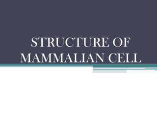 STRUCTURE OF
MAMMALIAN CELL
 