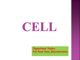 Tapeshwar Yadav.
P.G final Year, Biochemistry
 