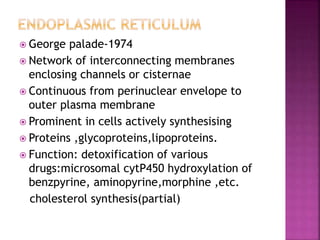  George palade-1974
 Network of interconnecting membranes
enclosing channels or cisternae
 Continuous from perinuclear envelope to
outer plasma membrane
 Prominent in cells actively synthesising
 Proteins ,glycoproteins,lipoproteins.
 Function: detoxification of various
drugs:microsomal cytP450 hydroxylation of
benzpyrine, aminopyrine,morphine ,etc.
cholesterol synthesis(partial)
 