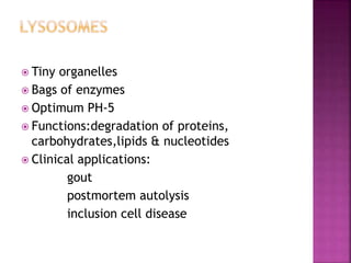  Tiny organelles
 Bags of enzymes
 Optimum PH-5
 Functions:degradation of proteins,
carbohydrates,lipids & nucleotides
 Clinical applications:
gout
postmortem autolysis
inclusion cell disease
 