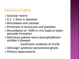 Granular matrix
 0.3 -1.5mm in diameter
 Peroxidases and catalase
 Prominent in leucocytes and platelets
 Peroxidation of PUFA in vivo leads to hydro
peroxide formation
 Deficiency:adreno-leuco dystrophy(Brown –
schilder’s disease)
insufficient oxidation of VLCFA
 Zellweger syndrome-peroxisomal ghosts
 Primary hyperoxaluria
 