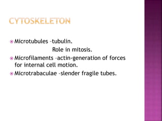  Microtubules –tubulin.
Role in mitosis.
 Microfilaments –actin-generation of forces
for internal cell motion.
 Microtrabaculae –slender fragile tubes.
 