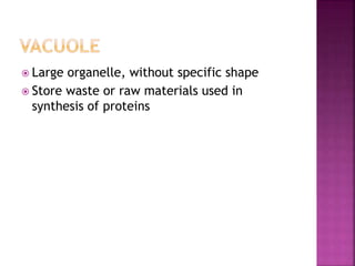 Large organelle, without specific shape
 Store waste or raw materials used in
synthesis of proteins
 