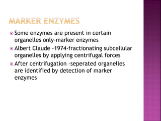  Some enzymes are present in certain
organelles only-marker enzymes
 Albert Claude -1974-fractionating subcellular
organelles by applying centrifugal forces
 After centrifugation –seperated organelles
are identified by detection of marker
enzymes
 