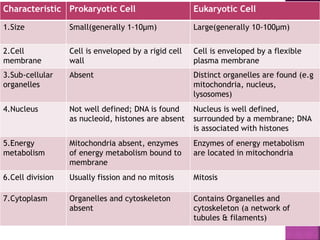 Characteristic Prokaryotic Cell Eukaryotic Cell
1.Size Small(generally 1-10µm) Large(generally 10-100µm)
2.Cell
membrane
Cell is enveloped by a rigid cell
wall
Cell is enveloped by a flexible
plasma membrane
3.Sub-cellular
organelles
Absent Distinct organelles are found (e.g
mitochondria, nucleus,
lysosomes)
4.Nucleus Not well defined; DNA is found
as nucleoid, histones are absent
Nucleus is well defined,
surrounded by a membrane; DNA
is associated with histones
5.Energy
metabolism
Mitochondria absent, enzymes
of energy metabolism bound to
membrane
Enzymes of energy metabolism
are located in mitochondria
6.Cell division Usually fission and no mitosis Mitosis
7.Cytoplasm Organelles and cytoskeleton
absent
Contains Organelles and
cytoskeleton (a network of
tubules & filaments)
 