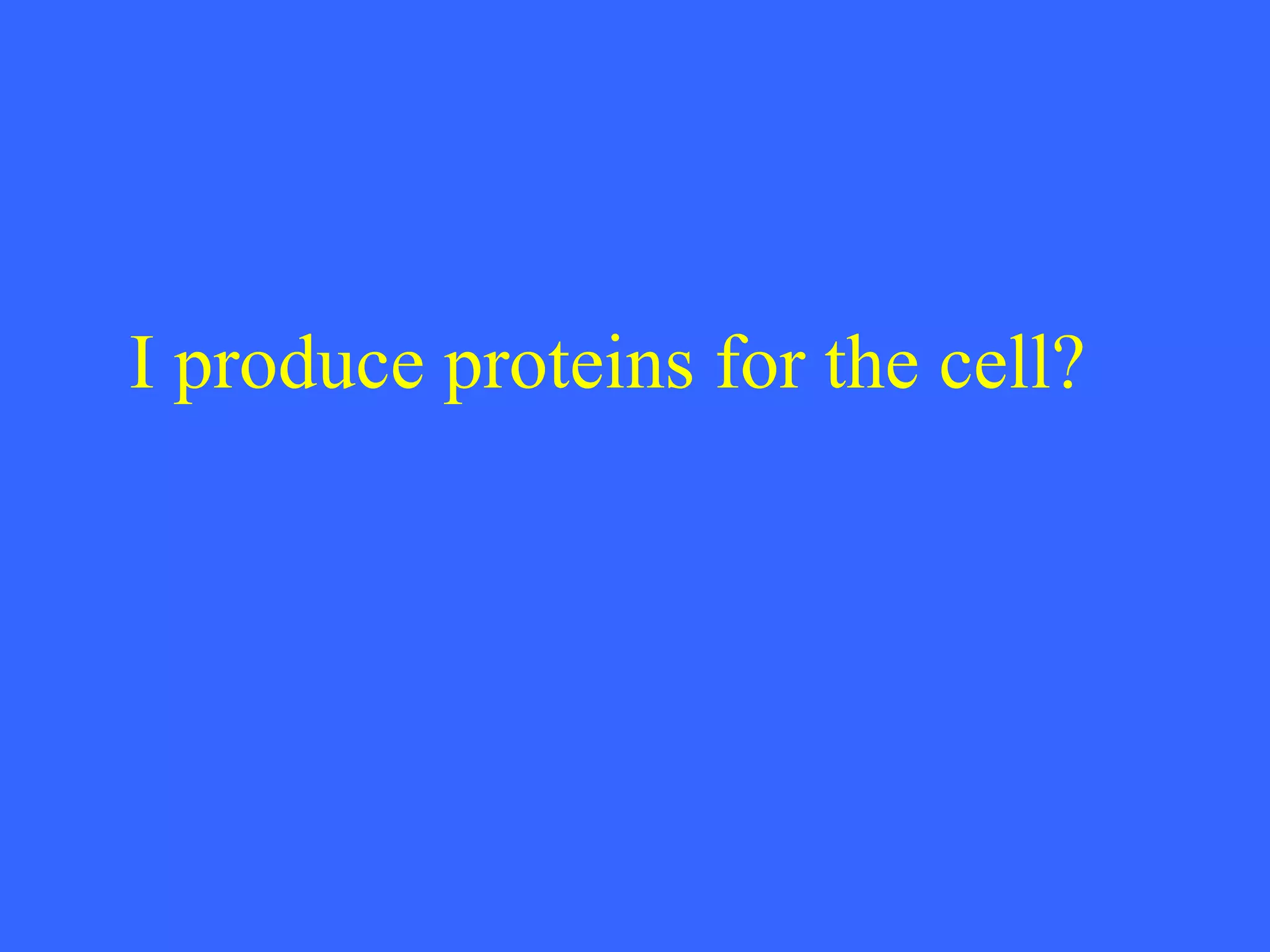 I produce proteins for the cell? 