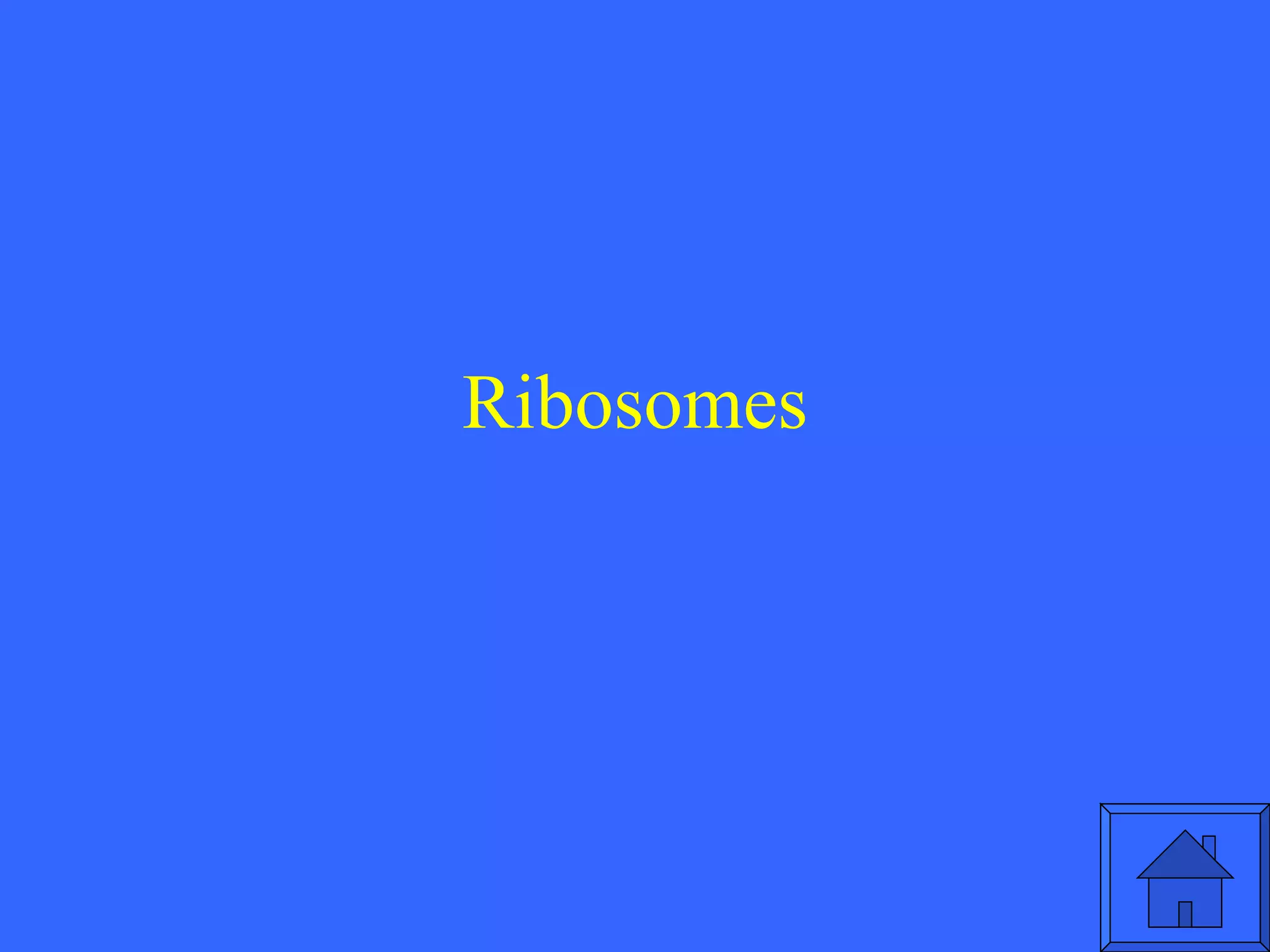 Ribosomes 