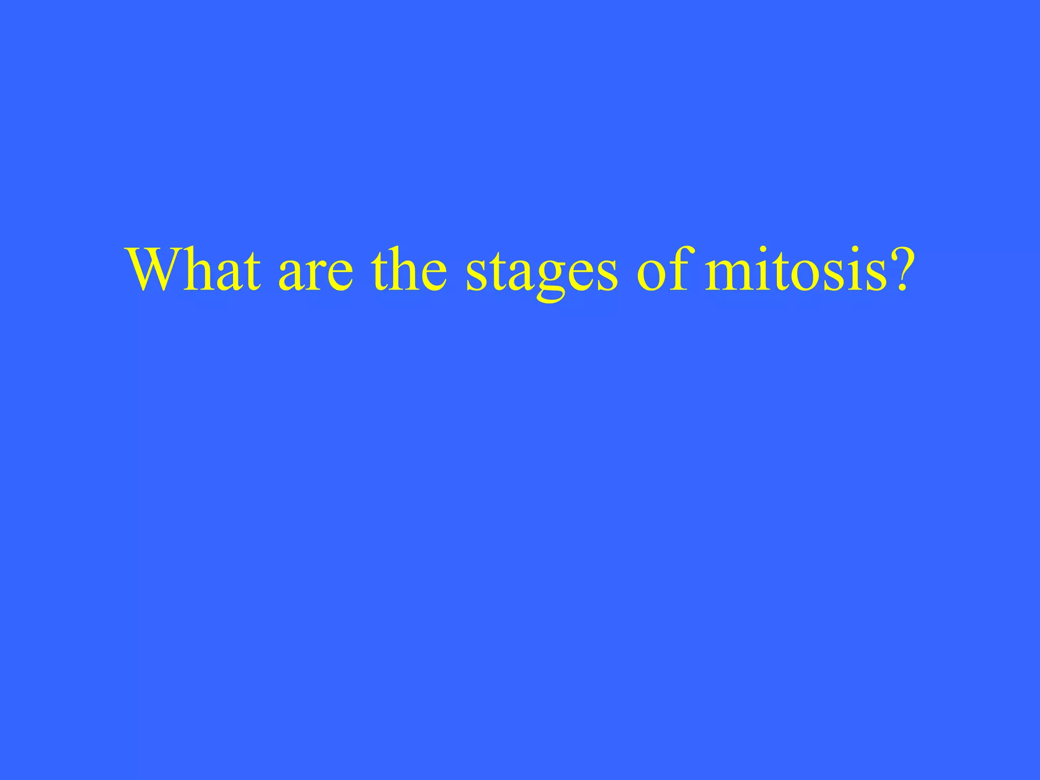 What are the stages of mitosis? 