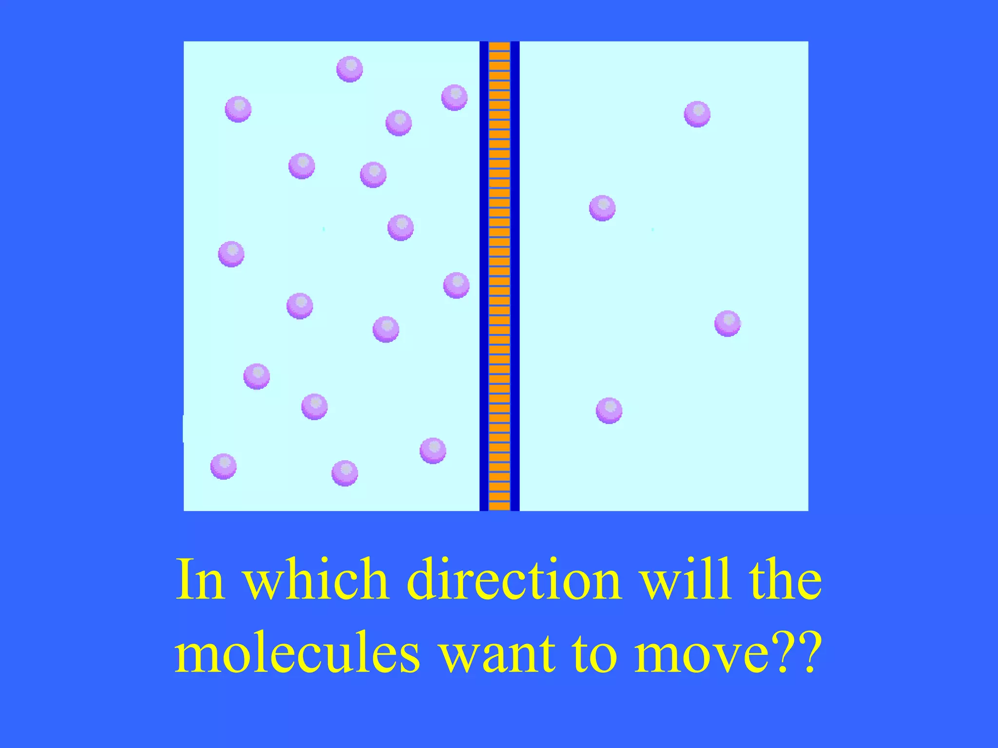 In which direction will the molecules want to move?? 