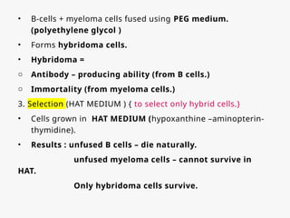 • B-cells + myeloma cells fused using PEG medium.
(polyethylene glycol )
• Forms hybridoma cells.
• Hybridoma =
o Antibody – producing ability (from B cells.)
o Immortality (from myeloma cells.)
3. Selection (HAT MEDIUM ) { to select only hybrid cells.}
• Cells grown in HAT MEDIUM (hypoxanthine –aminopterin-
thymidine).
• Results : unfused B cells – die naturally.
unfused myeloma cells – cannot survive in
HAT.
Only hybridoma cells survive.
 