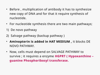 • Before , multiplication of antibody it has to synthesize
new copy of DNA and for that it require synthesis of
nucleotide.
• For nucleotide synthesis there are two main pathways;
1) De novo pathway
2) Salvage pathway (backup pathway )
• Aminopterin is added in HAT MEDIUM , it blocks DE
NOVO PATHWAY.
• Now, cells must depend on SALVAGE PATHWAY to
survive ; it requires a enzyme HGPRT ( Hypoxanthine –
guanine Phosphoribosyl transferase.
 