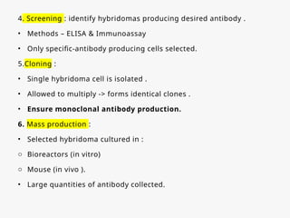 4. Screening : identify hybridomas producing desired antibody .
• Methods – ELISA & Immunoassay
• Only specific-antibody producing cells selected.
5.Cloning :
• Single hybridoma cell is isolated .
• Allowed to multiply -> forms identical clones .
• Ensure monoclonal antibody production.
6. Mass production :
• Selected hybridoma cultured in :
o Bioreactors (in vitro)
o Mouse (in vivo ).
• Large quantities of antibody collected.
 