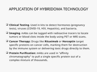 APPLICATION OF HYBRIDOMA TECHNOLOGY
 Clinical Testing: Used in kits to detect hormones (pregnancy
tests), viruses (COVID-19, HIV, Hepatitis), and bacteria.
 Imaging: mAbs can be tagged with radioactive tracers to locate
tumors or blood clots inside the body using PET or MRI scans.
 Cancer Therapy: Drugs like Rituximab or Herceptin target
specific proteins on cancer cells, marking them for destruction
by the immune system or delivering toxic drugs directly to them.
 Protein Purification: mAbs are used in "affinity
chromatography" to pull a single specific protein out of a
complex mixture of thousands.
 